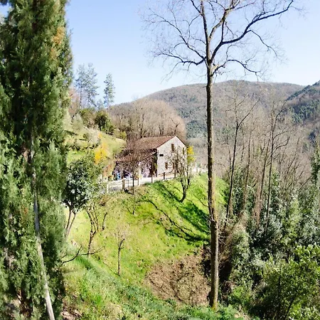 Holiday home Typical Tuscan Old Stone House *